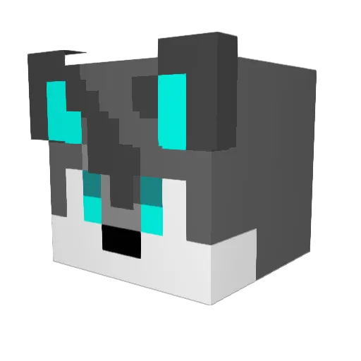 szymon5619 Minecraft avatar head, 3D render