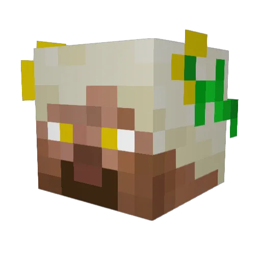 szymonkopacz Minecraft avatar head, 3D render
