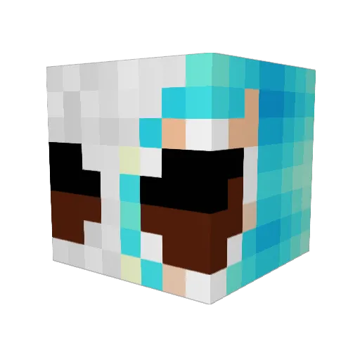 szynka9 Minecraft avatar head, 3D render