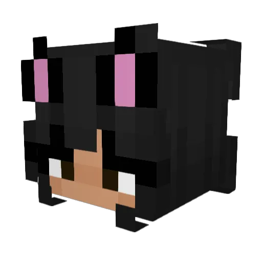 t00ts_ Minecraft avatar head, 3D render