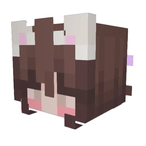 t04st13 Minecraft avatar head, 3D render