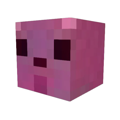 t0bi2 Minecraft avatar head, 3D render