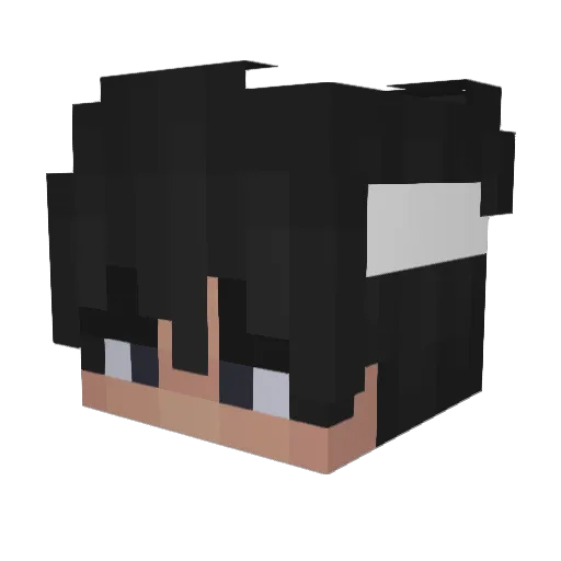 t0m3k11 Minecraft avatar head, 3D render