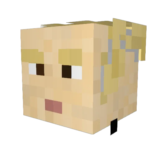 t0m4s2006 Minecraft avatar head, 3D render