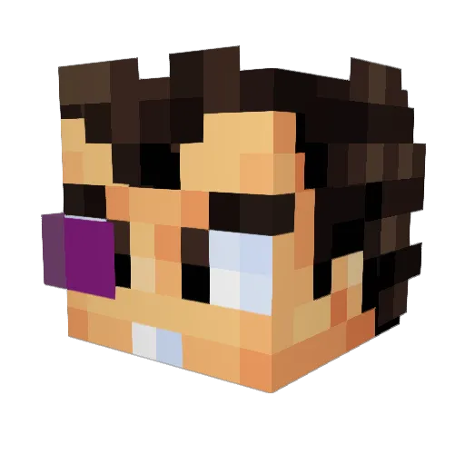 t0m4sUCH Minecraft avatar head, 3D render