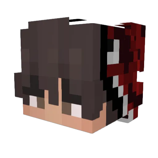 t0mM_66 Minecraft avatar head, 3D render