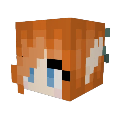t0mas6230 Minecraft avatar head, 3D render