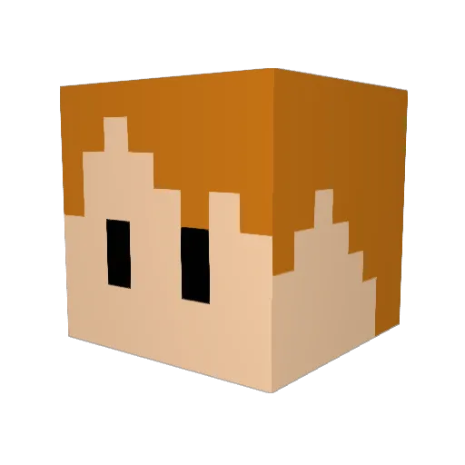 t0runec Minecraft avatar head, 3D render