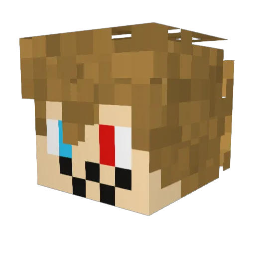 t0whead916 Minecraft avatar head, 3D render