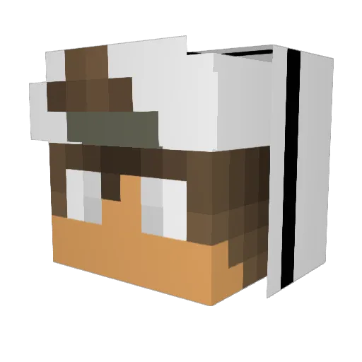 t1211 Minecraft avatar head, 3D render
