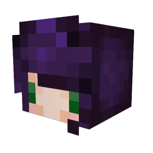 t1lde Minecraft avatar head, 3D render