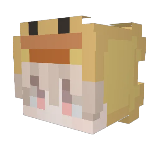t1zxn Minecraft avatar head, 3D render