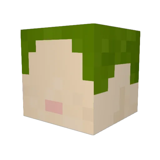 t24ula Minecraft avatar head, 3D render