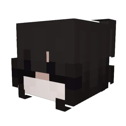t313sa Minecraft avatar head, 3D render