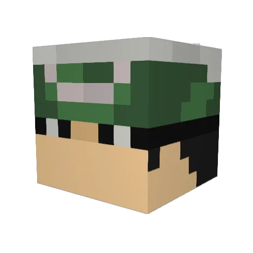 t3h_Phoenixx Minecraft avatar head, 3D render