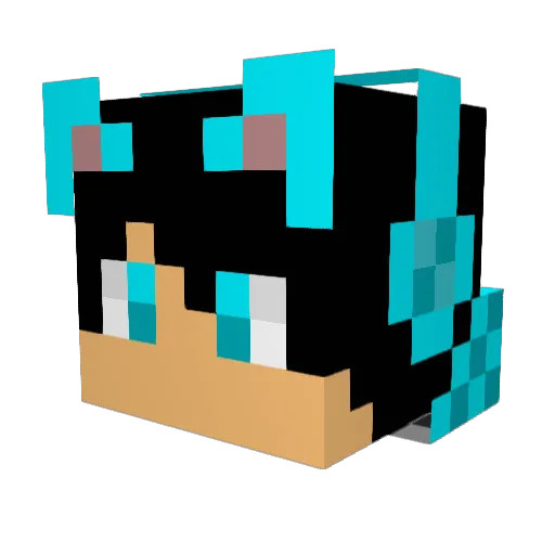 t3ht5h Minecraft avatar head, 3D render