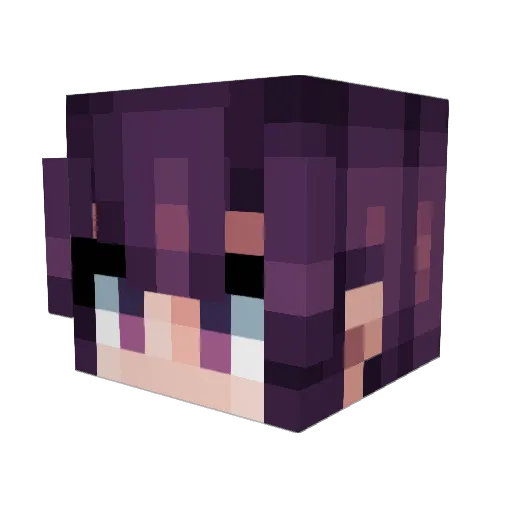 t3nd0_ Minecraft avatar head, 3D render