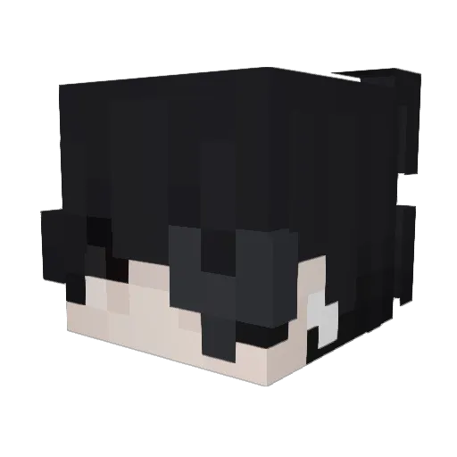 t3oDoREk Minecraft avatar head, 3D render