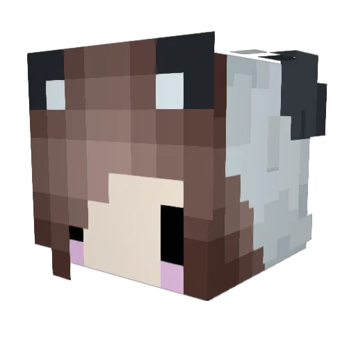 t3ssie Minecraft avatar head, 3D render