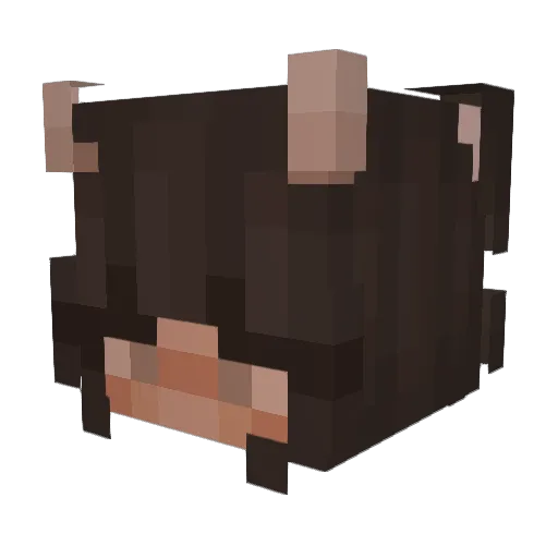 t4kaya Minecraft avatar head, 3D render