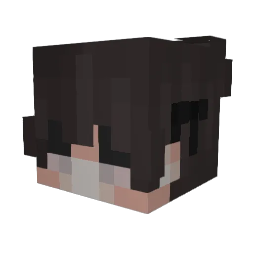 t4kiT_x Minecraft avatar head, 3D render