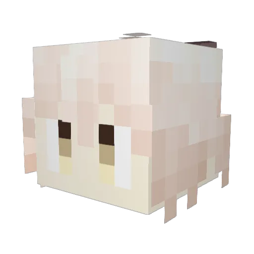 t4kkun Minecraft avatar head, 3D render