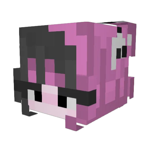 t4m40 Minecraft avatar head, 3D render