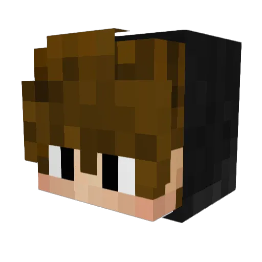t4nn3r5 Minecraft avatar head, 3D render