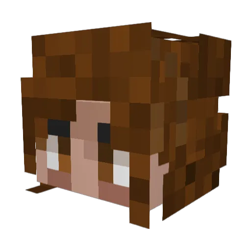 t4pp3 Minecraft avatar head, 3D render