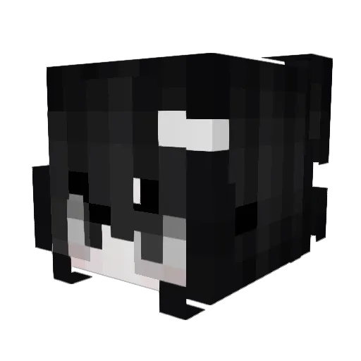 t6kyo Minecraft avatar head, 3D render