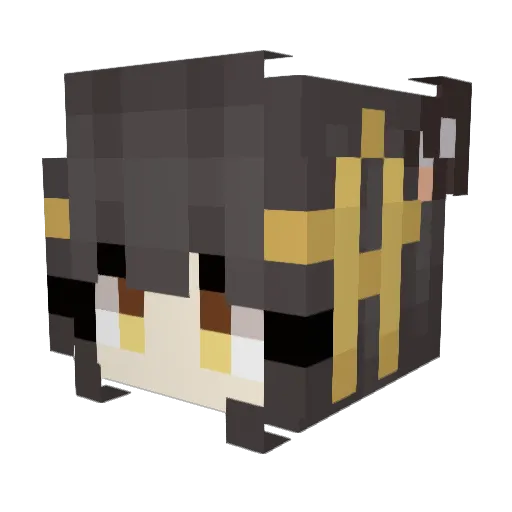 tAwog1106 Minecraft avatar head, 3D render