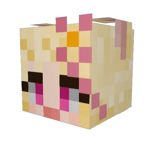 tFaYue Minecraft avatar head, 3D render