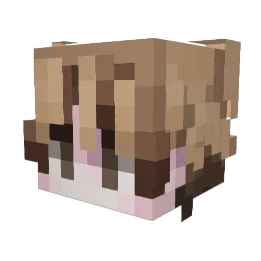 tKficus Minecraft avatar head, 3D render