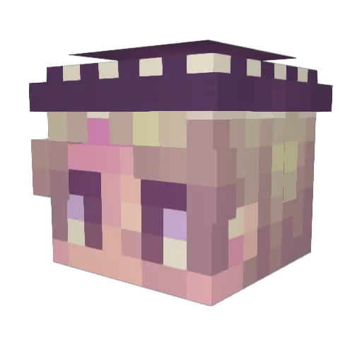 tMarc0 Minecraft avatar head, 3D render