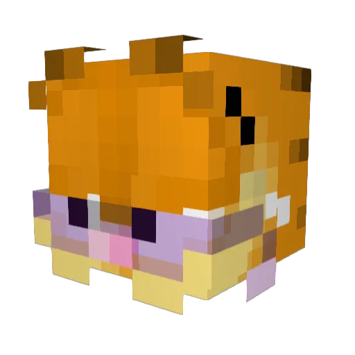 tMattcam Minecraft avatar head, 3D render