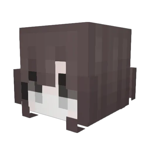 tPxl Minecraft avatar head, 3D render