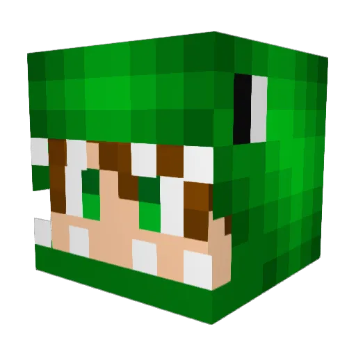 tRexjrPro_DMC Minecraft avatar head, 3D render