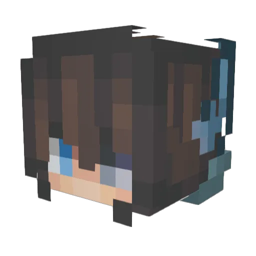 t_Rixky Minecraft avatar head, 3D render