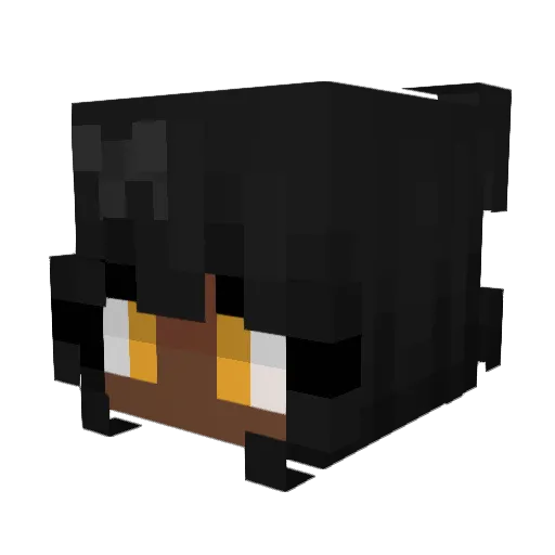 t_dsu Minecraft avatar head, 3D render