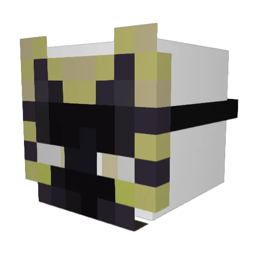 t_erzi Minecraft avatar head, 3D render