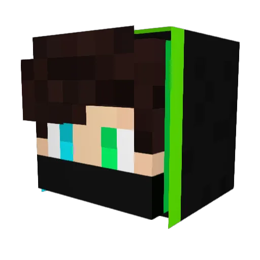t_i_k_v_a Minecraft avatar head, 3D render
