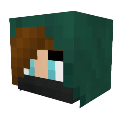 t_mcnult18 Minecraft avatar head, 3D render