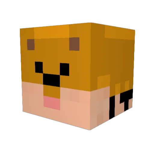ta4JX Minecraft avatar head, 3D render