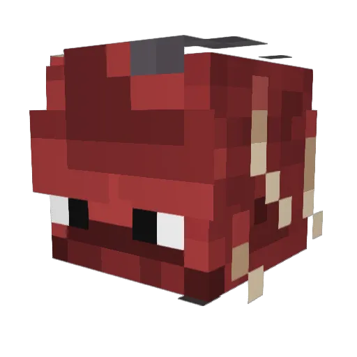 taIentedlearner Minecraft avatar head, 3D render