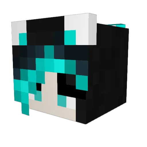 ta_vi Minecraft avatar head, 3D render