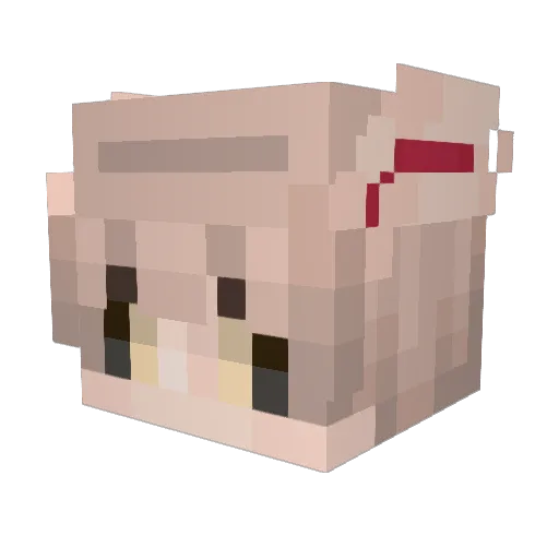 taac Minecraft avatar head, 3D render