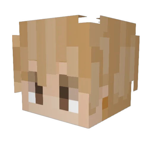taakotime Minecraft avatar head, 3D render