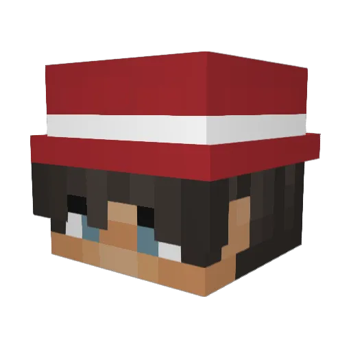 taarteter Minecraft avatar head, 3D render