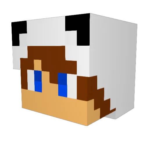 tab_187 Minecraft avatar head, 3D render