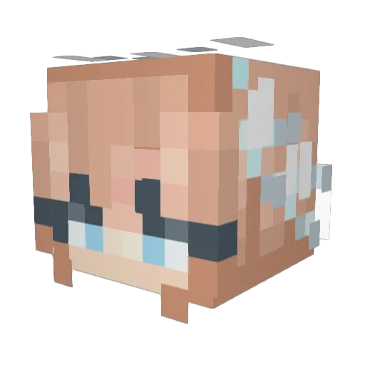 tabaksteen Minecraft avatar head, 3D render